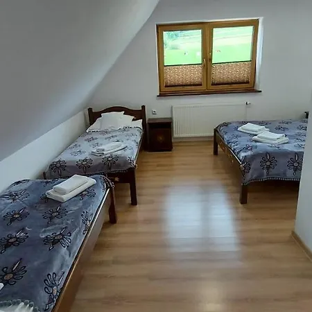 Koziniec Przy Wyciagu * Czarna Góra